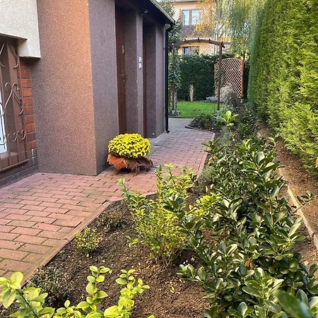 Maly Apartament Z Kuchnia I Lazienka Lägenhet Szczecin Exteriör bild